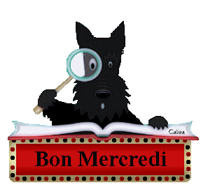 Gif animé Bon mercredi chat